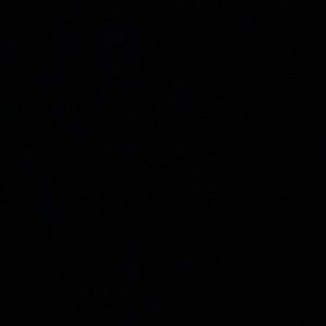 Meet your Posher, Sylvia